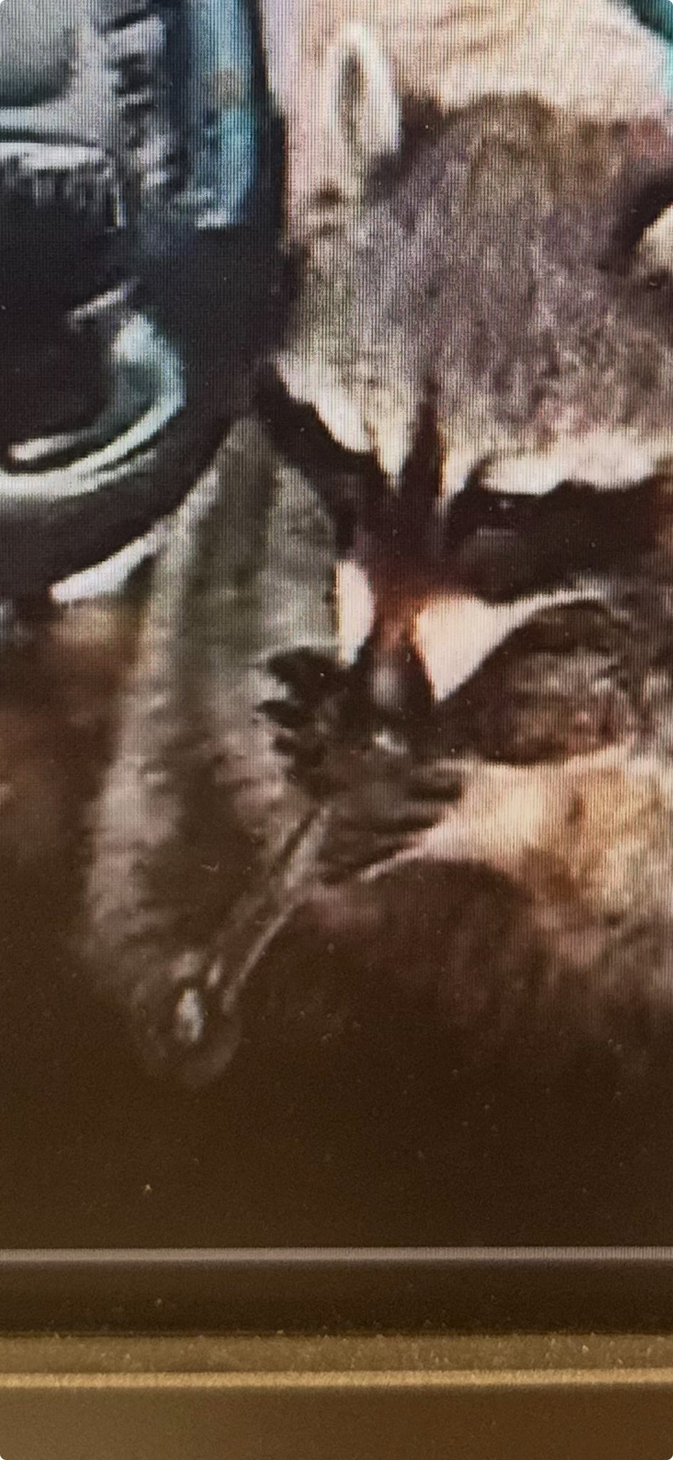 A zoomed-in video still shows Chewy with the meth pipe in his mouth.