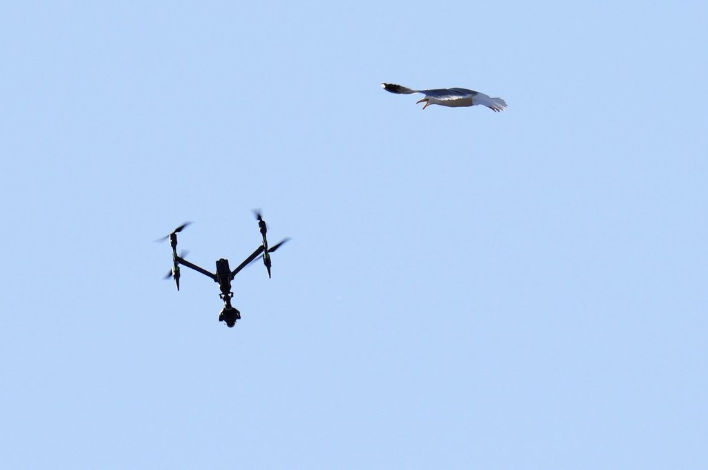 A Toronto man sparks online outrage after being charged with voyeurism for allegedly using a drone to spy on women. Nearby residents reported similar incidents that left them shaken.