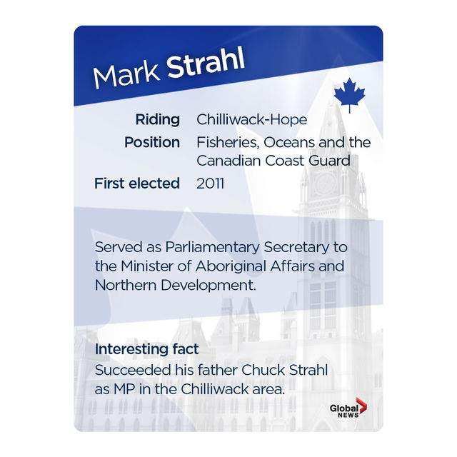 MP trading cards: Official Opposition Edition - image