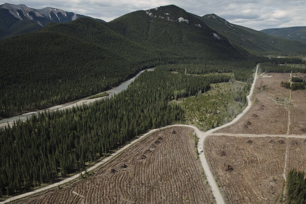 Valory Resources Black Eagle Mining Corporation site near the Clearwater River, west of Rocky Mountain House, Alta., Tuesday, June 1, 2021. Valory Resources is one of the companies suing Alberta over its coal policy reversal in 2022.