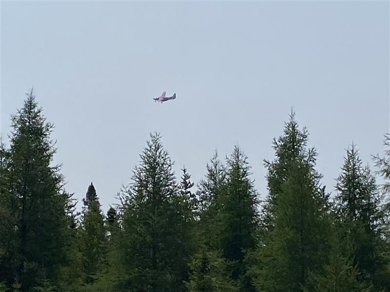 Miramichi wildfire