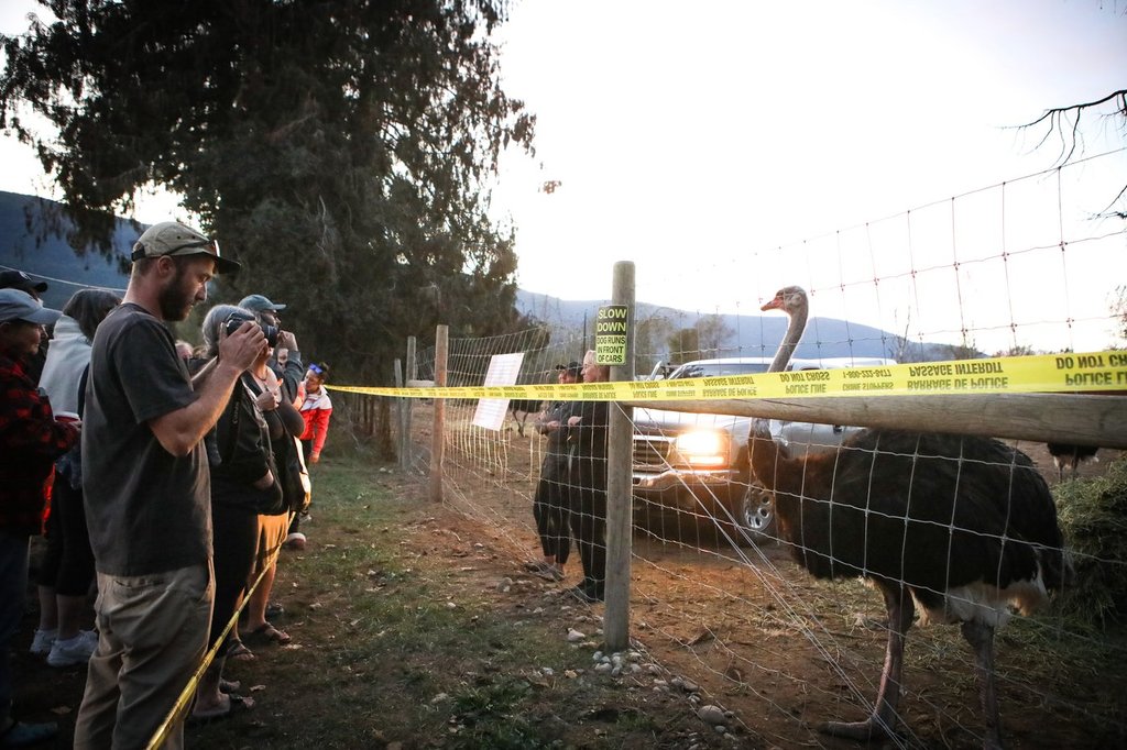 Karen Espersen, centre, the co-owner of Universal Ostrich Farms, speaks with supporters with her daughter, Katie Pasitney, at the farm in Edgewood, B.C., on Monday, Sept. 22, 2025.
