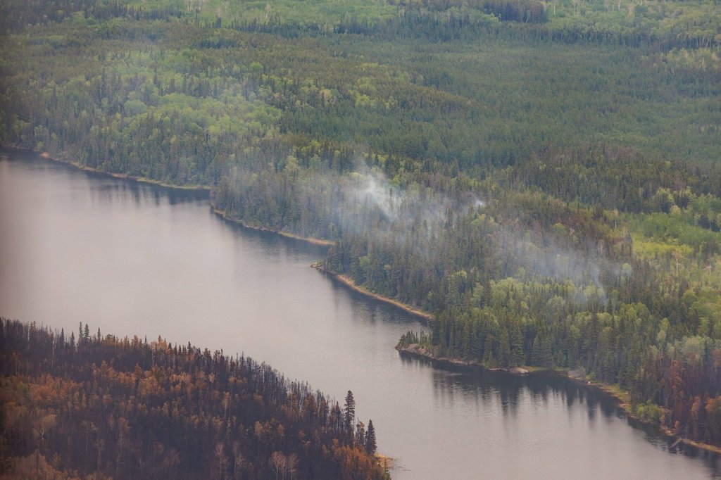 Trees burned by wildfires in northern Manitoba are shown during a helicopter tour in the surrounding area of Flin Flon, Man. on Thursday, June 12, 2025. 