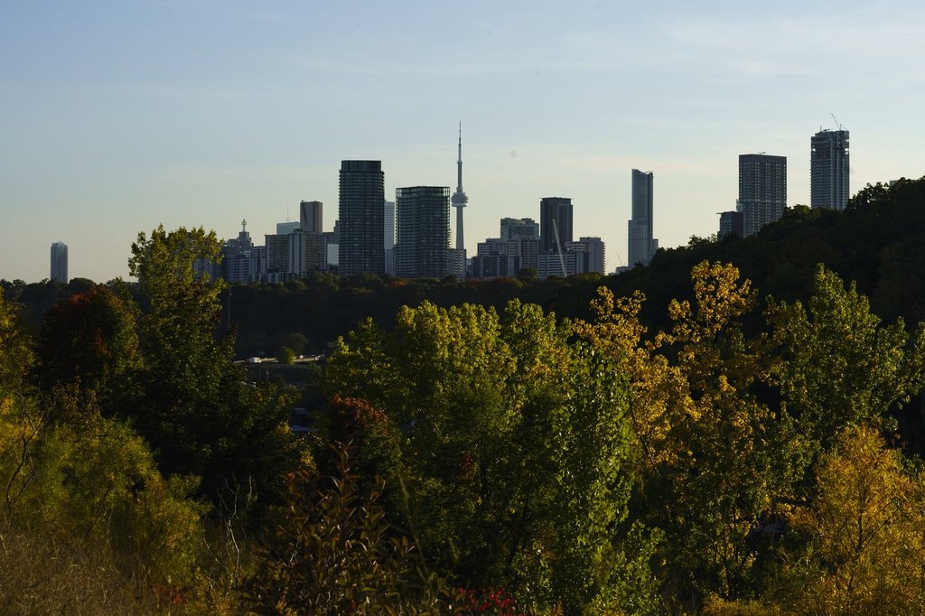 The Toronto skyline is photographed behind a canopy of trees on Wednesday, Oct. 5, 2022. THE CANADIAN PRESS/Alex Lupul.