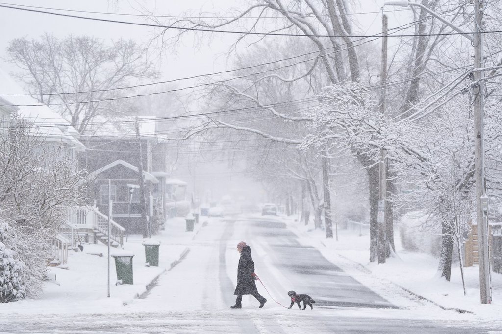 A pedestrian walks their dog across the street in Halifax during a spring snowstorm that closed schools and impacted travel across much of Nova Scotia on Tuesday, April 8, 2025. 