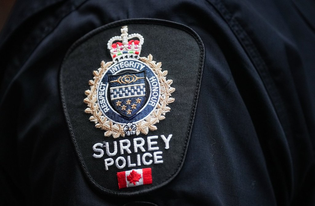 Police in Surrey are appealing for additional victims after a child exploitation investigation led to two arrests. Investigators say the case remains ongoing.