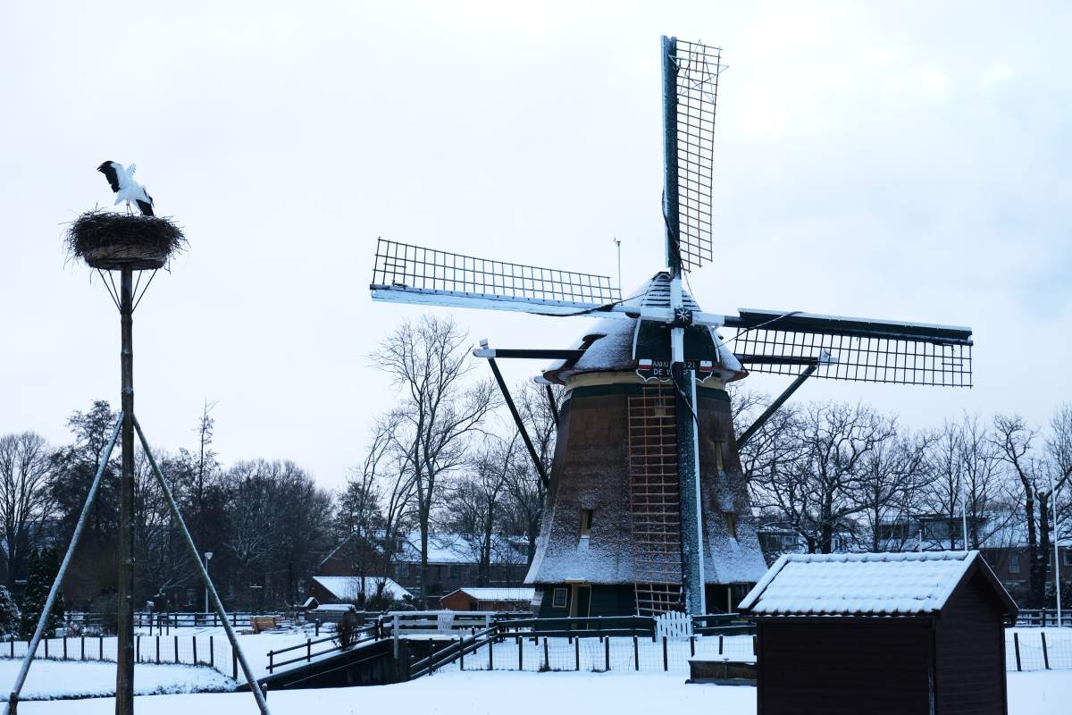 Windmill De Vlieger stands in a snowy field in the town of Voorburg on the outskirts of The Hague, Netherlands, as snow and ice covers the country on Tuesday, Jan. 6, 2026. (AP Photo/Mike Corder).
