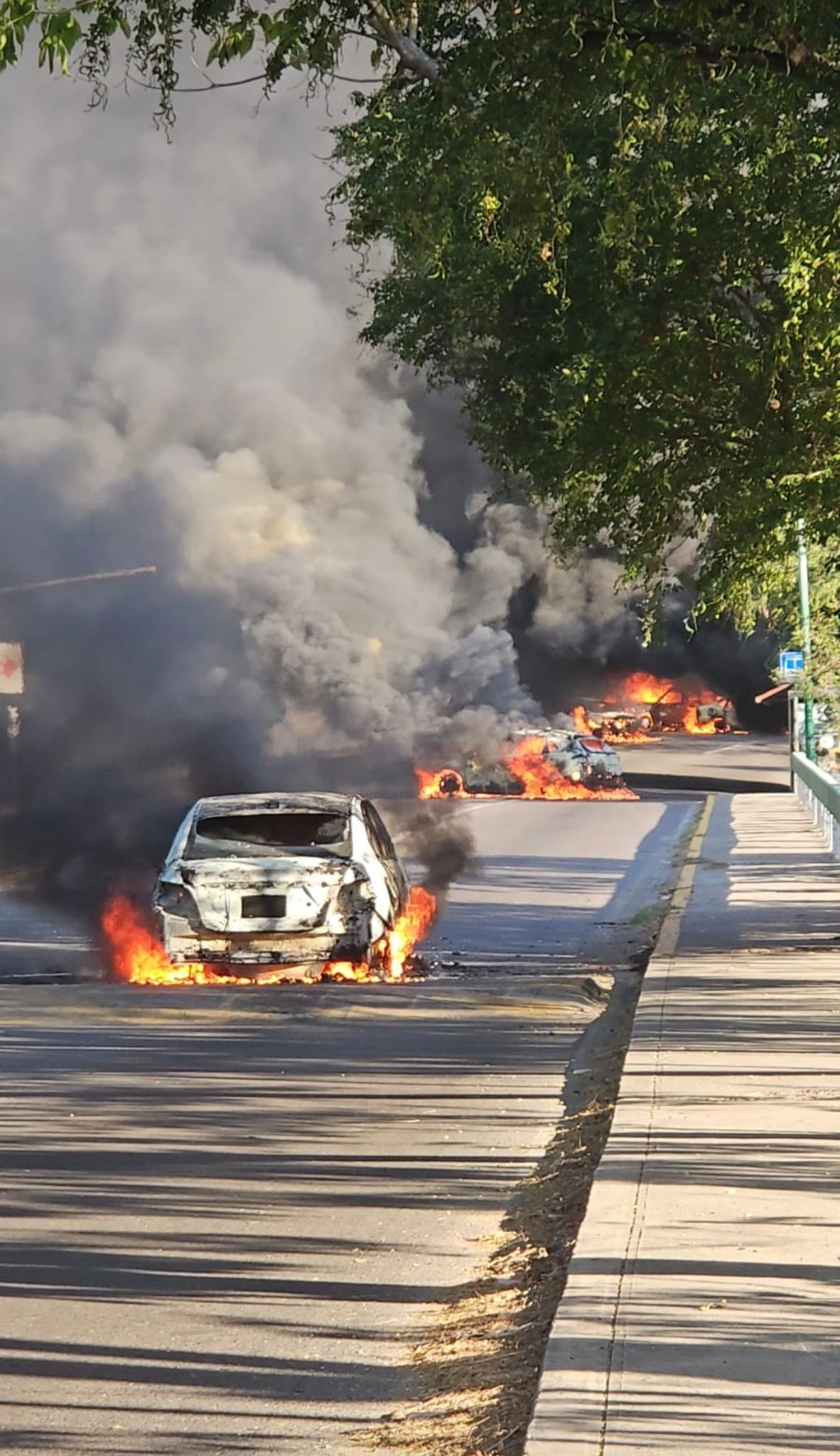 John Snyder lives in the Romantic Zone in Puerto Vallarta, where the worst of the violence occurred.
