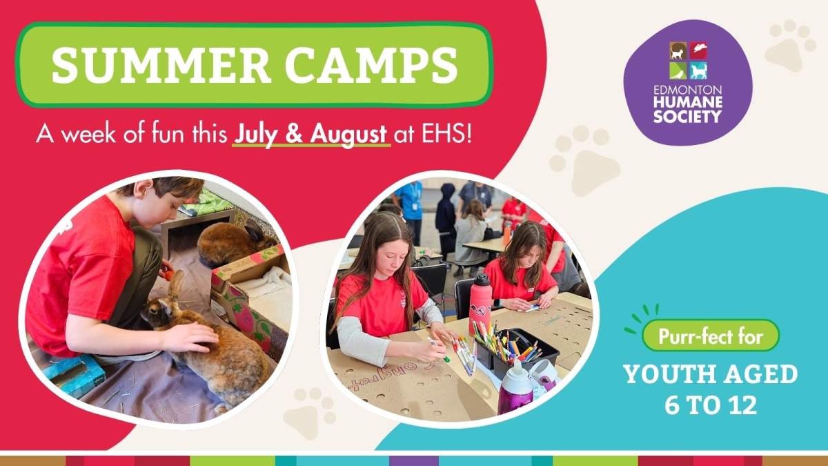 EHS Summer Kids Camp - image