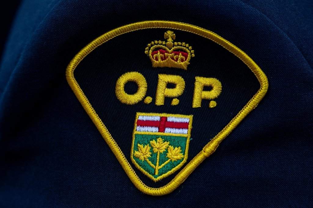 Police say a fraudulent ID was used in Ontario and B.C., and the suspect used it to purchase a luxury vehicle.