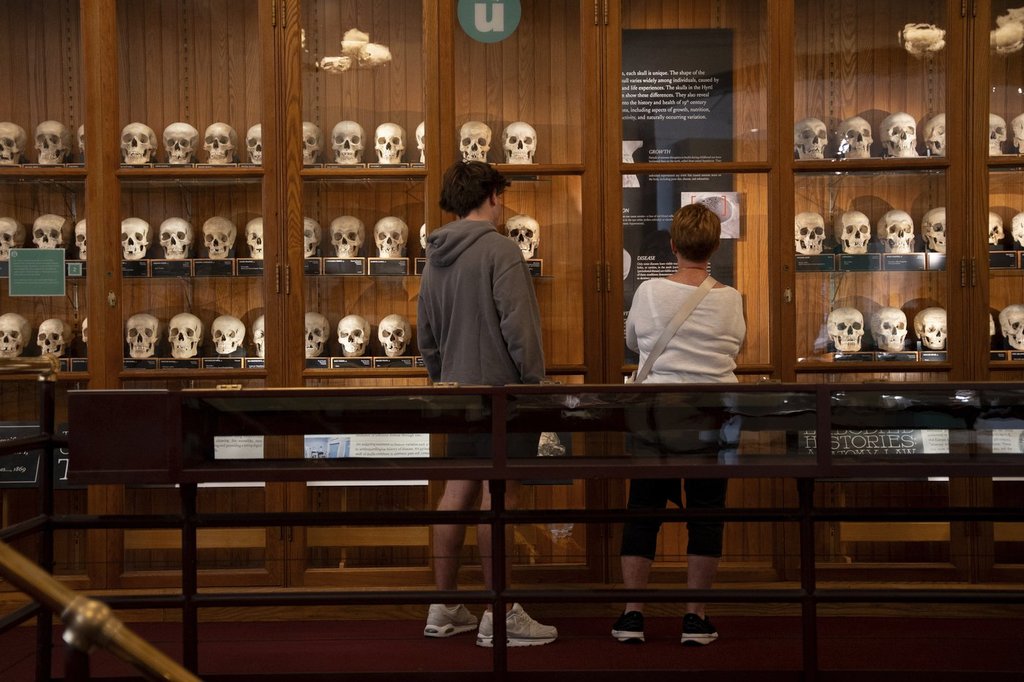 Milo Tivy, 16, and Shari Tivy, 75, look at a display of human skulls at the Mütter Museum on Thursday, Aug. 21, 2025, in Philadelphia. (AP Photo/Mingson Lau).