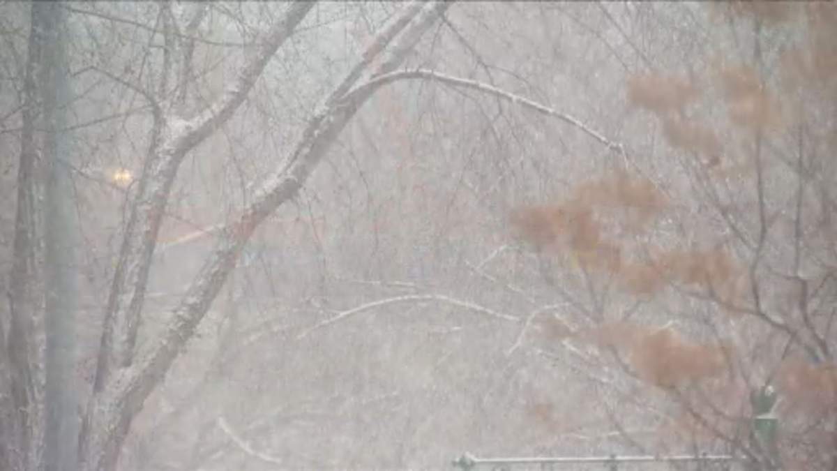 Snow falls in Alberta as a winter storm hits much of the province on Sunday, March 8, 2026.