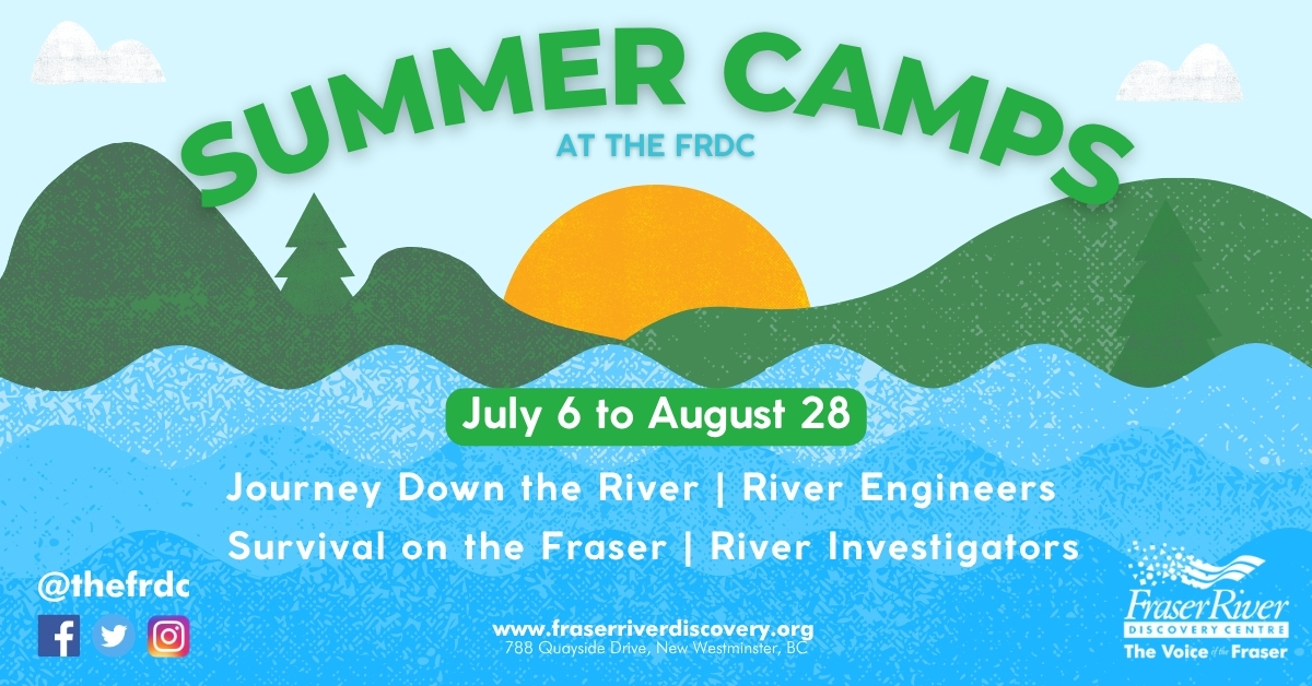 Summer Camps 2026 - image