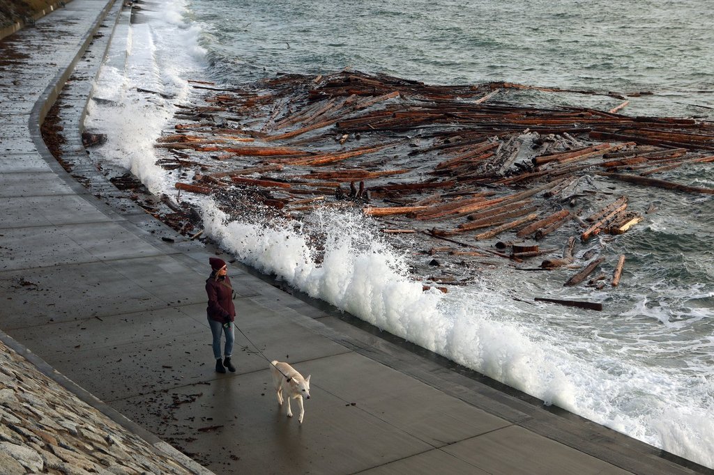 A person walks a dog as waves and debris crash into the breakwater below Dallas Rd. in Victoria, B.C., on Wednesday, Nov. 20, 2024. 