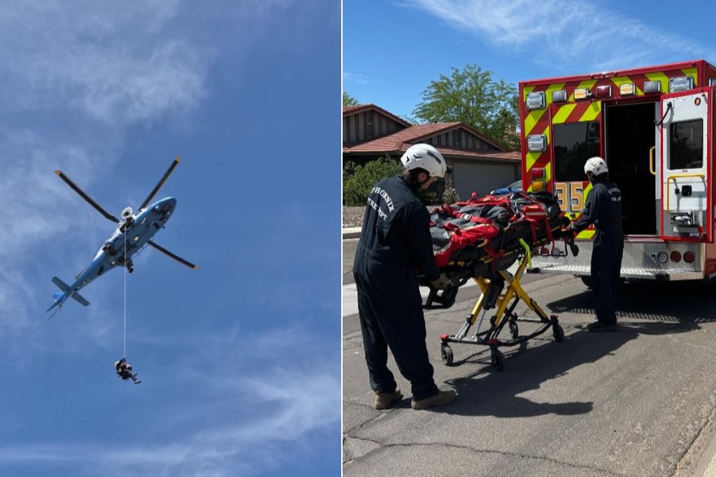 Technical rescue teams from Phoenix and Glendale responded to Lookout Mountain around 10AM for reports of a hiker stung multiple times by bees near the summit.