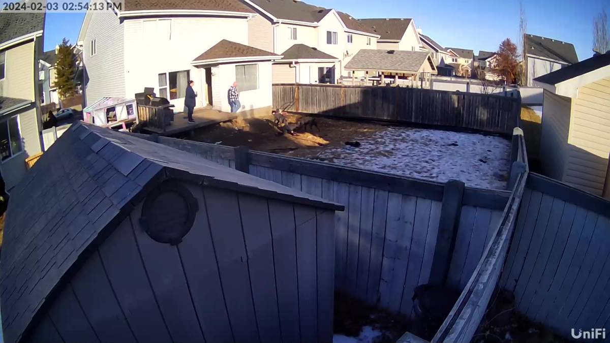 Image from video from the day of the attack on Tina Kelepouris.