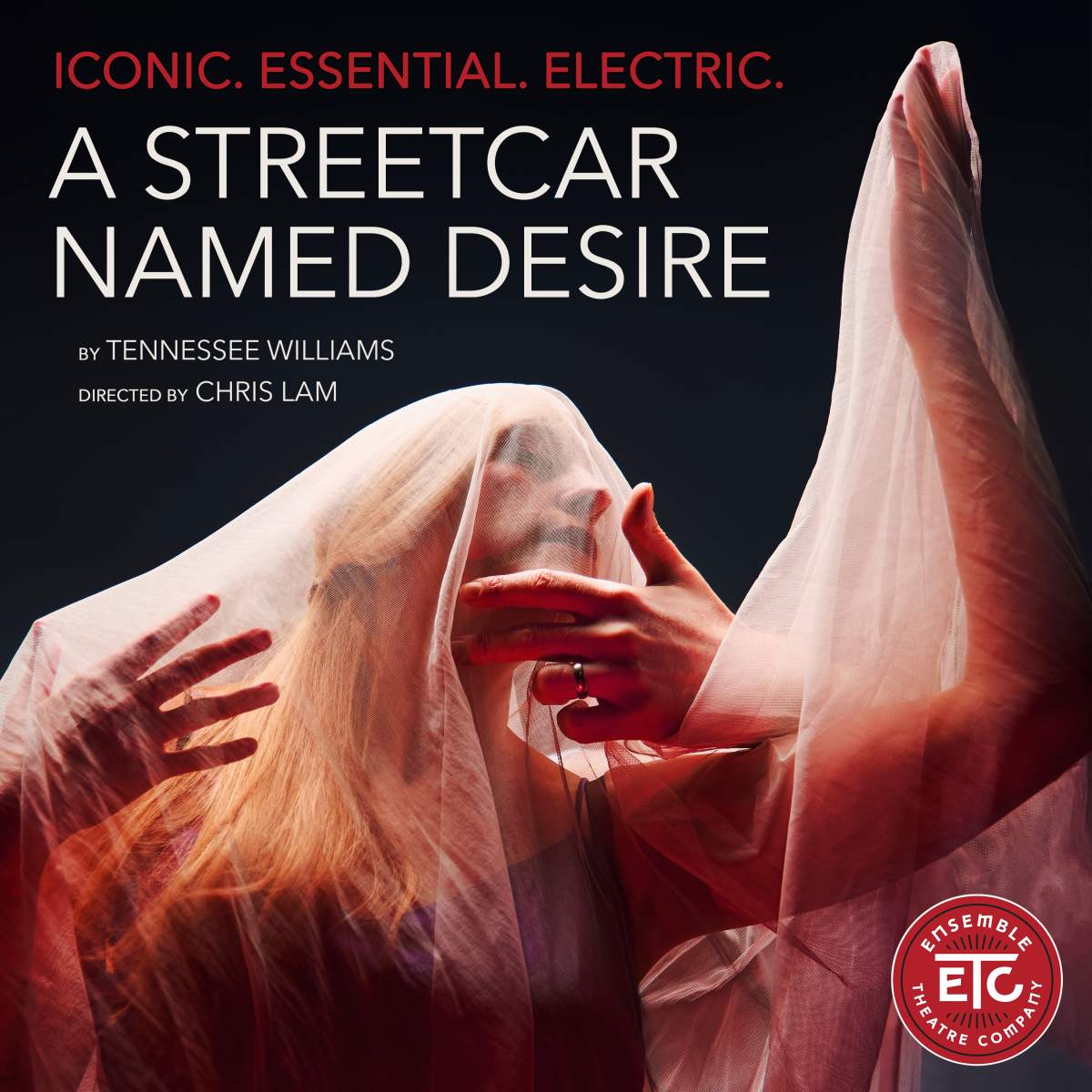 A Streetcar Named Desire - image