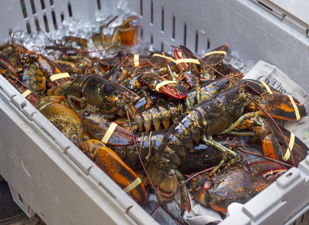 A crate of lobsters sits on the sidewalk outside the legislature in Halifax on Friday, Oct. 16, 2020. THE CANADIAN PRESS/Andrew Vaughan.