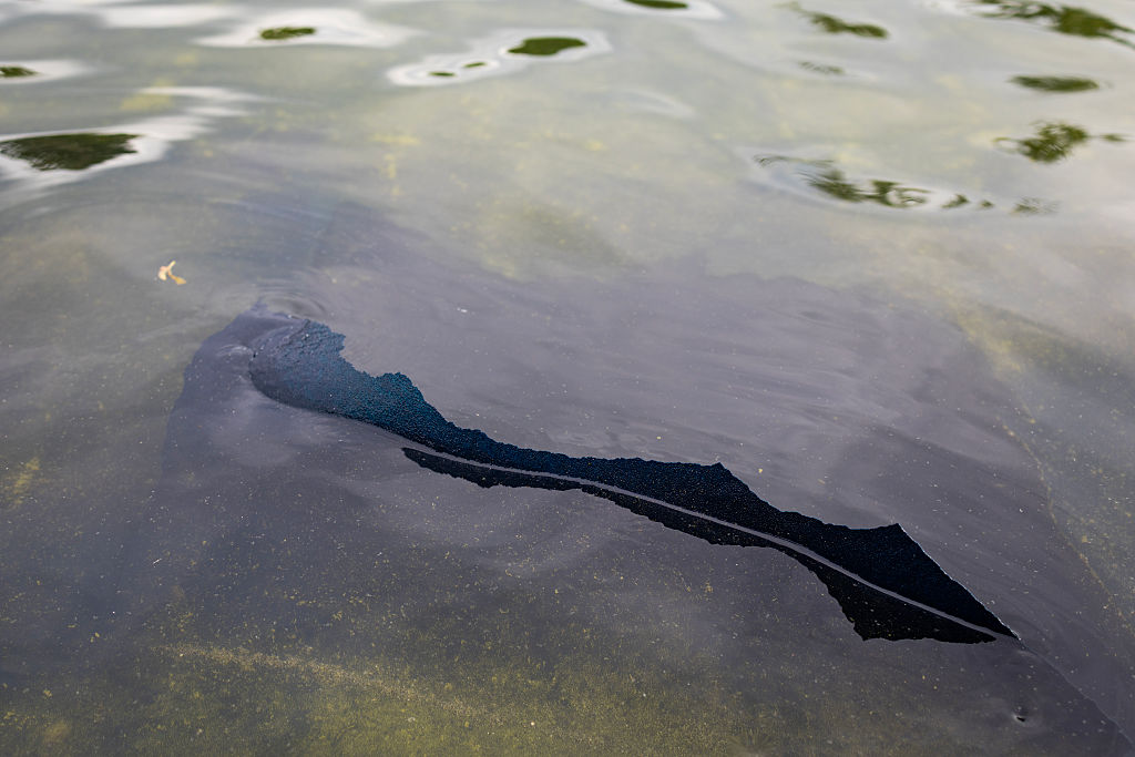 A piece of the new blue paint, a part of President Donald Trump's renovation, peels off from the bottom of the Lincoln Memorial's Reflecting Pool on June 18, 2026, in Washington, DC. The algae levels also spiked days after the renovation, which cost around $ 14 million, completed.