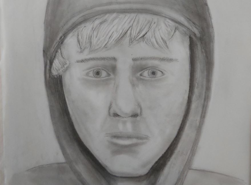 Calgary police have released a sketch of the man wanted in connection with several recent sexual assaults of women in Fish Creek Park.