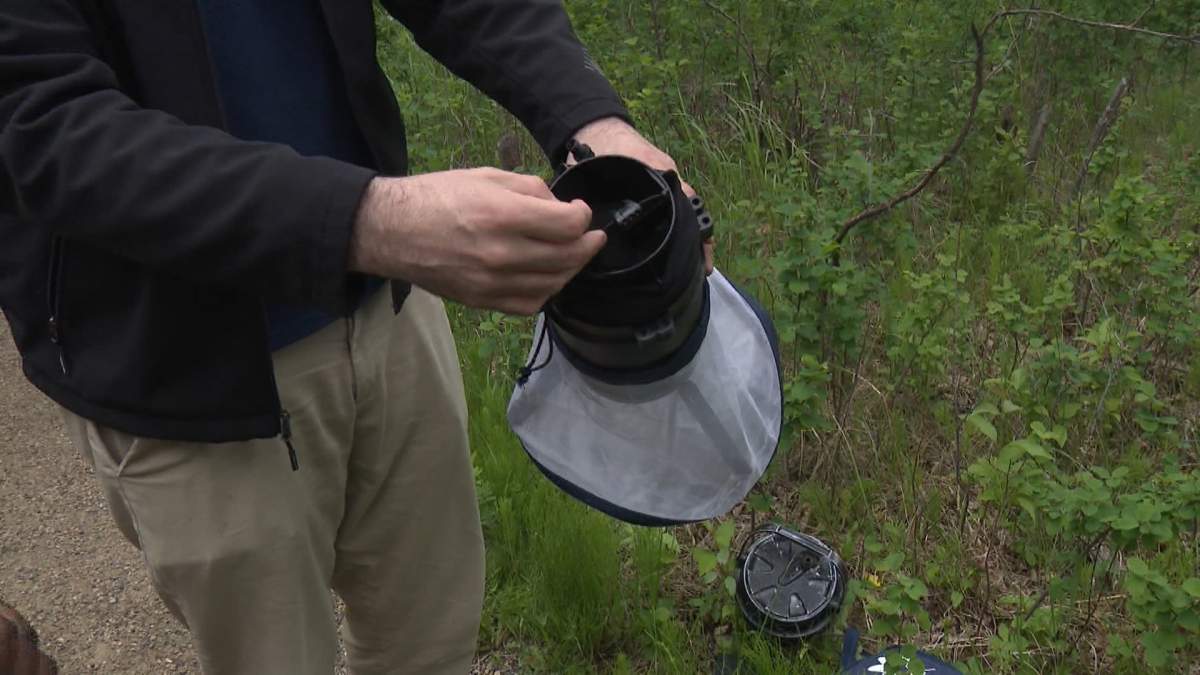 A sample of one of the traps used by researches to collect mosquitoes in Calgary.