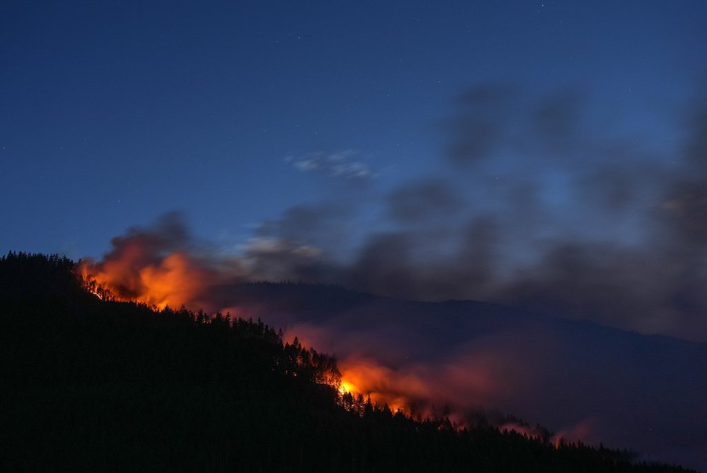 Wildfire
