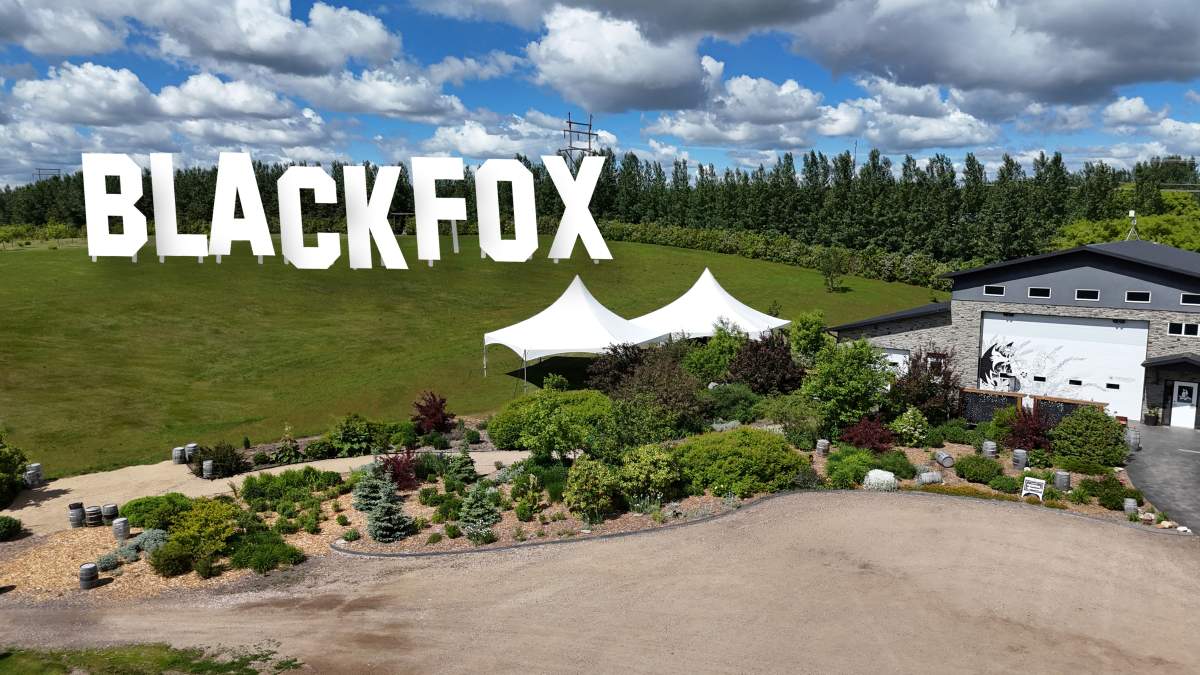 Summer Sounds at Black Fox, powered by ATB Wealth - image