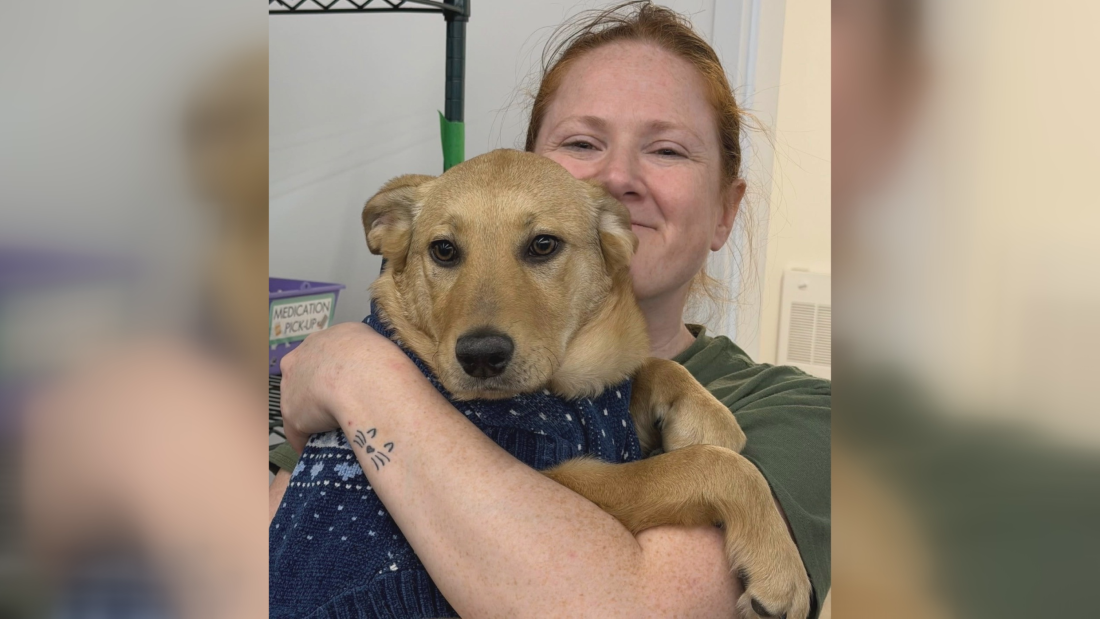 Amanda Nobiss, 37, died in Sandy Bay First Nation last week while working with an animal advocacy group. The nation said it has a longstanding issue of the overpopulation of dogs.